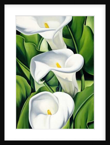 Lilies, 2002 by Catherine Abel