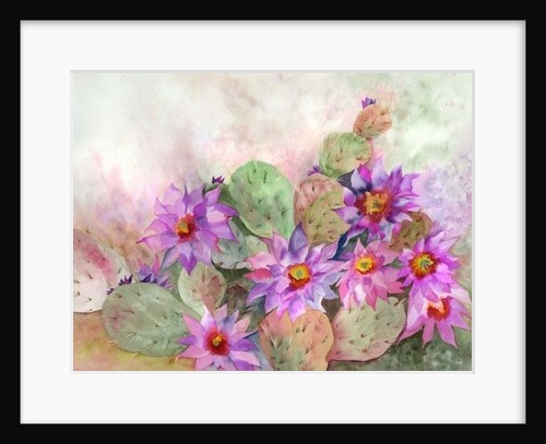cactus garden by Neela Pushparaj