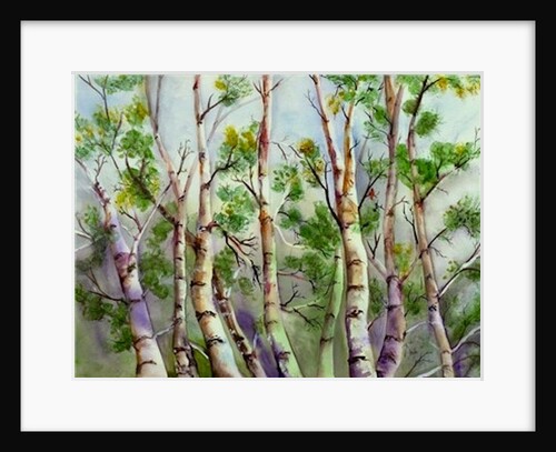 Spring Birches by Neela Pushparaj