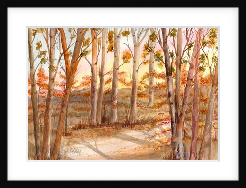 Tall Trees by Neela Pushparaj