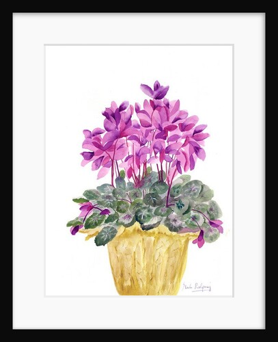 Cyclamen by Neela Pushparaj