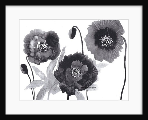 Poppies in Black and white by Neela Pushparaj