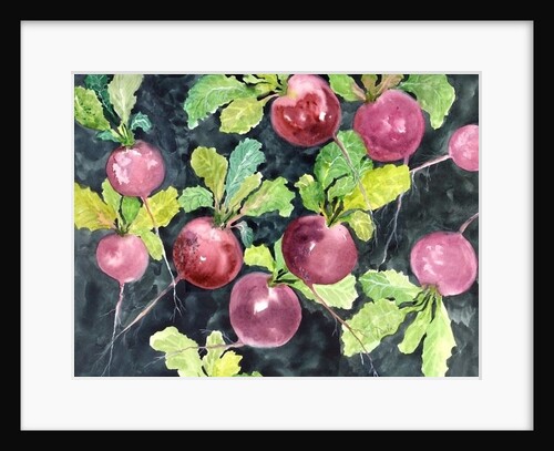 Radishes by Neela Pushparaj