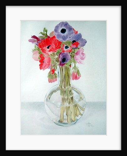 Anemonies, 1982 by Alan Byrne