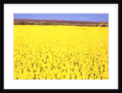 Rape Field, 2003 by Alan Byrne