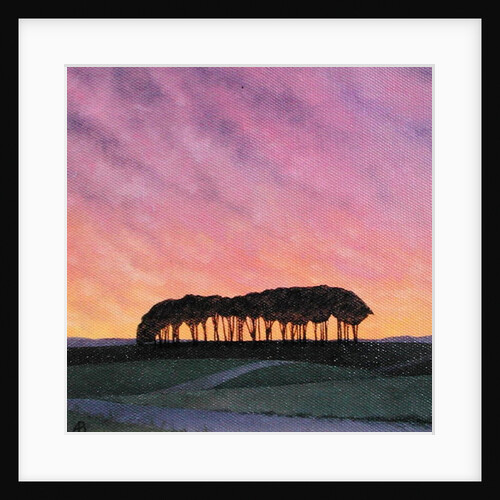 Distant Pines by Ann Brain