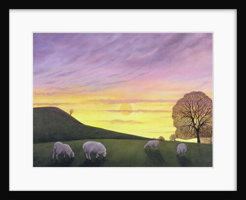 Barratt's Hill, 2004 by Ann Brain