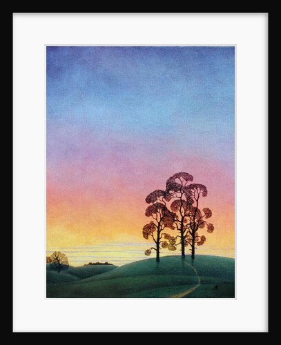 Path through the Pines, 2004 by Ann Brain