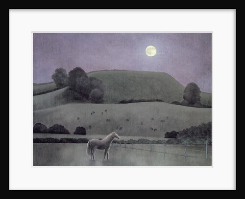 Horse in Moonlight, 2005 by Ann Brain