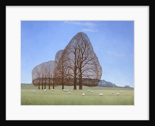 October Afternoon, 2008 by Ann Brain