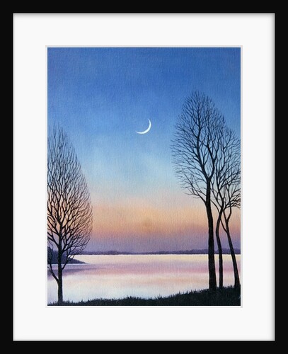 Dusk at Draycote, 2008 by Ann Brain
