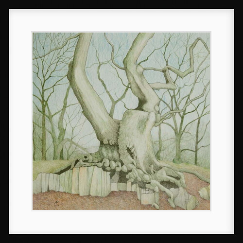 Swithland Oak, 2014 by Ann Brain