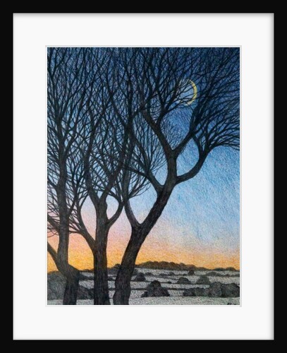 Trees and Moon, 2015 by Ann Brain