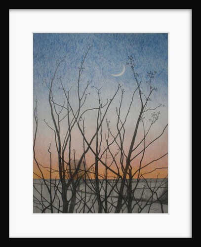 From my Window, 2011 by Ann Brain