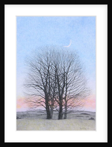 New Moon, 2011 by Ann Brain