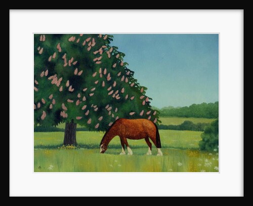 Horse Chestnut, 2001 by Ann Brain