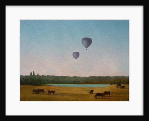Northamptonshire Balloons, 2005 by Ann Brain
