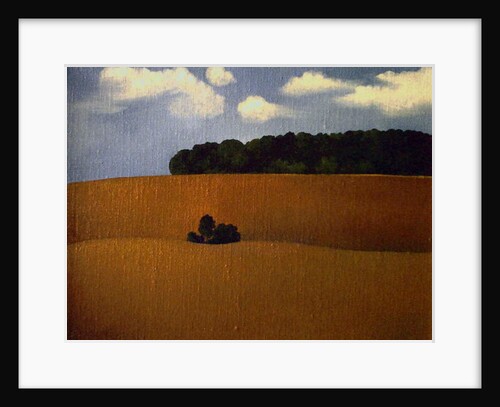 Ploughed Field, 1990 by Ann Brain
