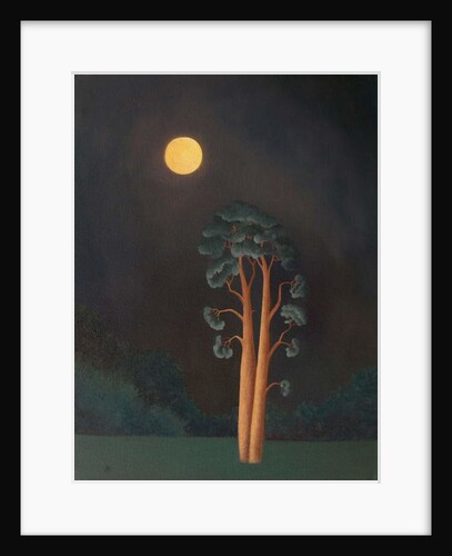 Stamford Pines, 2005 by Ann Brain
