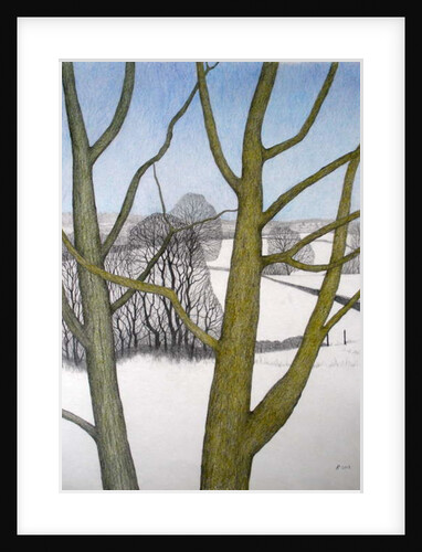 Winters Day, 2013 by Ann Brain