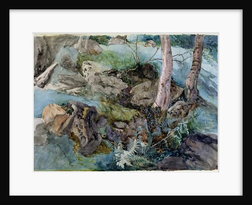Study of rocks and ferns in a wood at Crossmount, Perthshire, 1843 by John Ruskin