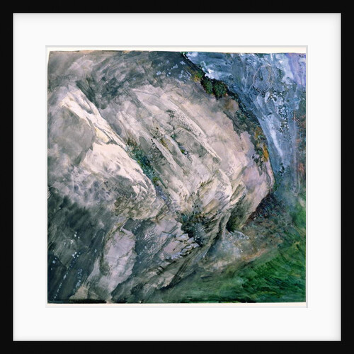 Rocks and vegetation at Chamouni, 1854 by John Ruskin