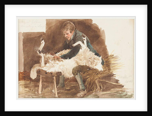 Shearing sheep, 1808 by John Harden