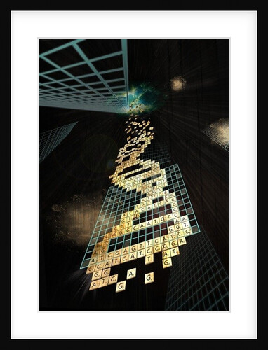 God doesn't play dice, 2014 by Francois Domain