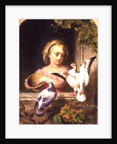 Girl Feeding Pigeons by English School