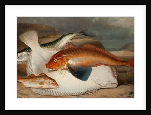 The Catch by Henry Leonidas Rolfe