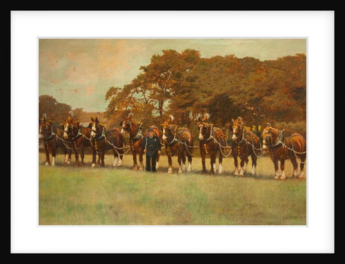 Shire Horses, 1896 by James Weaver Tattersall