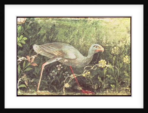 Wall painting of a Sultan chicken in a garden, Pompeii, 1st century AD by Anonymous