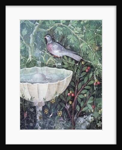 Wall painting of a dove in a garden by a fountain, House of the Golden Bracelet, Pompeii, 1st century AD by Anonymous