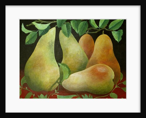 Pears, 2014 by Jennifer Abbott
