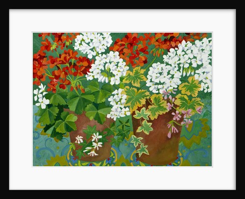 Red and white geraniums in pots, 2013 by Jennifer Abbott