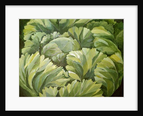 Cabbage, 2013 by Jennifer Abbott