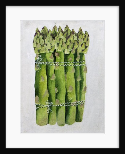 Asparagus,2013 by Jennifer Abbott