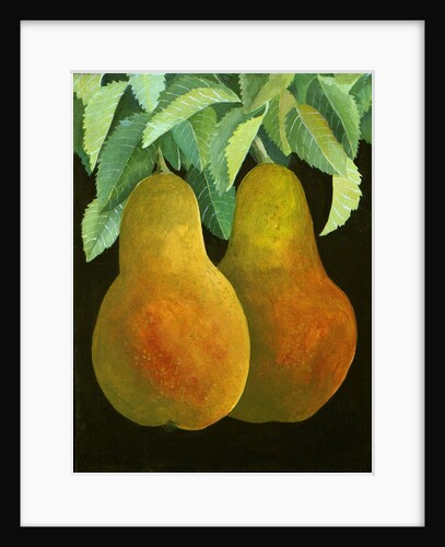 Pears, 2014 by Jennifer Abbott