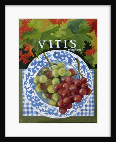 Vitus, 2014 by Jennifer Abbott