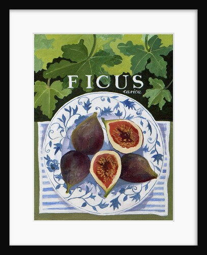 Fieus, 2014 by Jennifer Abbott
