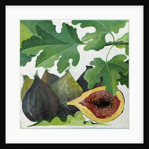 Figs, 2013 by Jennifer Abbott