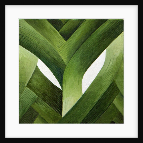 Leeks, 2013 by Jennifer Abbott