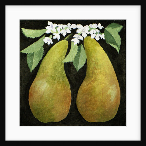 Pears, 2013 by Jennifer Abbott
