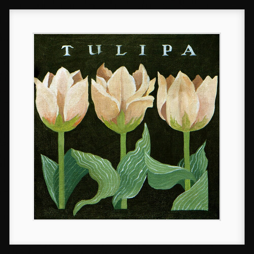 Tulips, 2013 by Jennifer Abbott