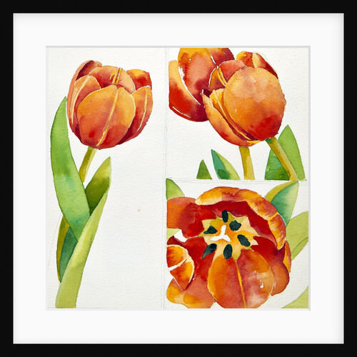 Three tulip studies in a sure, 2013 by Jennifer Abbott