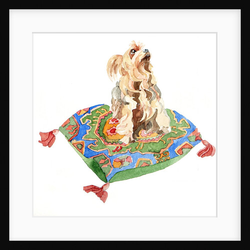 Yorkshire terrier, 2012 by Jennifer Abbott