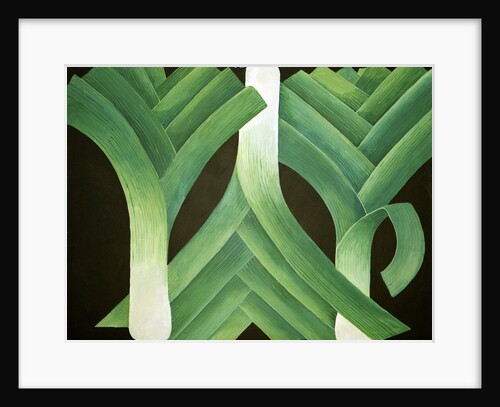 Leeks, 2014 by Jennifer Abbott