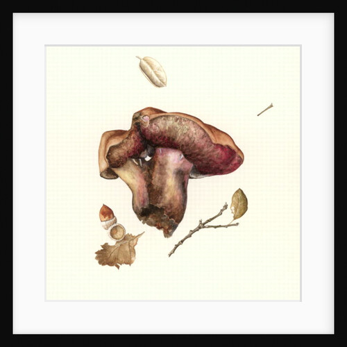 Fungus, 2003 by Alison Cooper