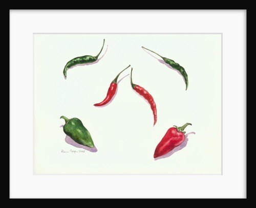 Chillies and Peppers, 2005 by Alison Cooper