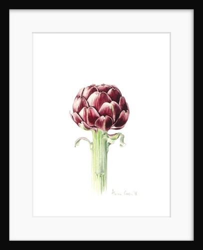 Artichoke from Roman market, 2016 by Alison Cooper
